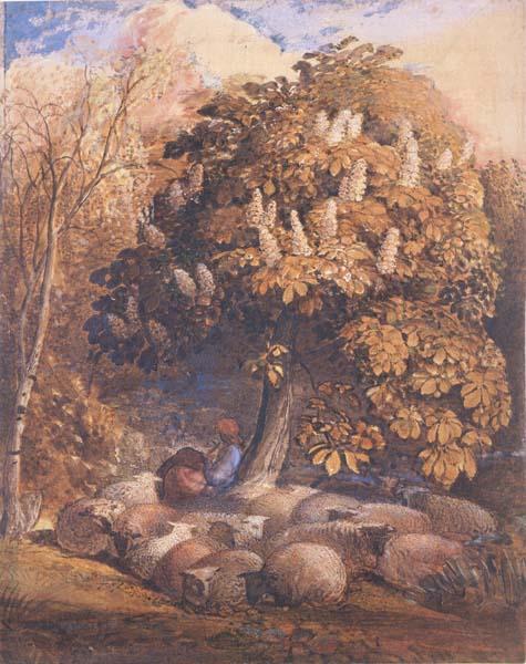 Samuel Palmer Pastoral with a Horse Chestnut Tree China oil painting art